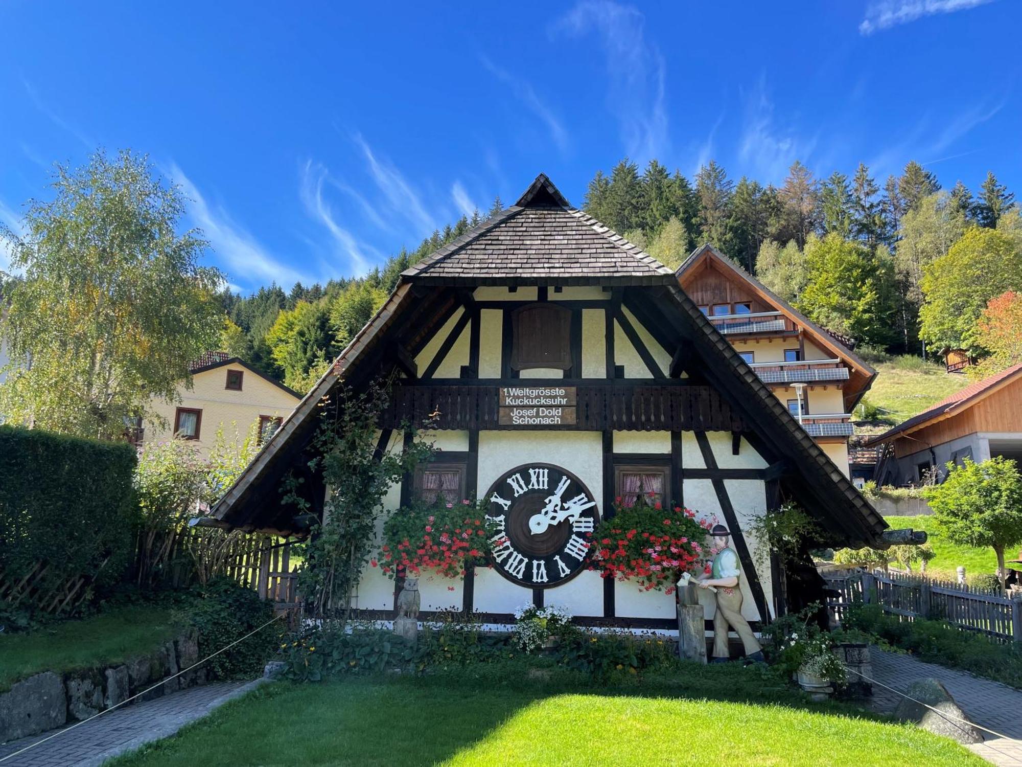 Aparthotel Schwarzwald Panorama Бад-Вільдбад Екстер'єр фото