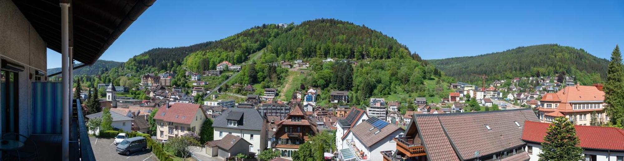 Aparthotel Schwarzwald Panorama Бад-Вільдбад Номер фото