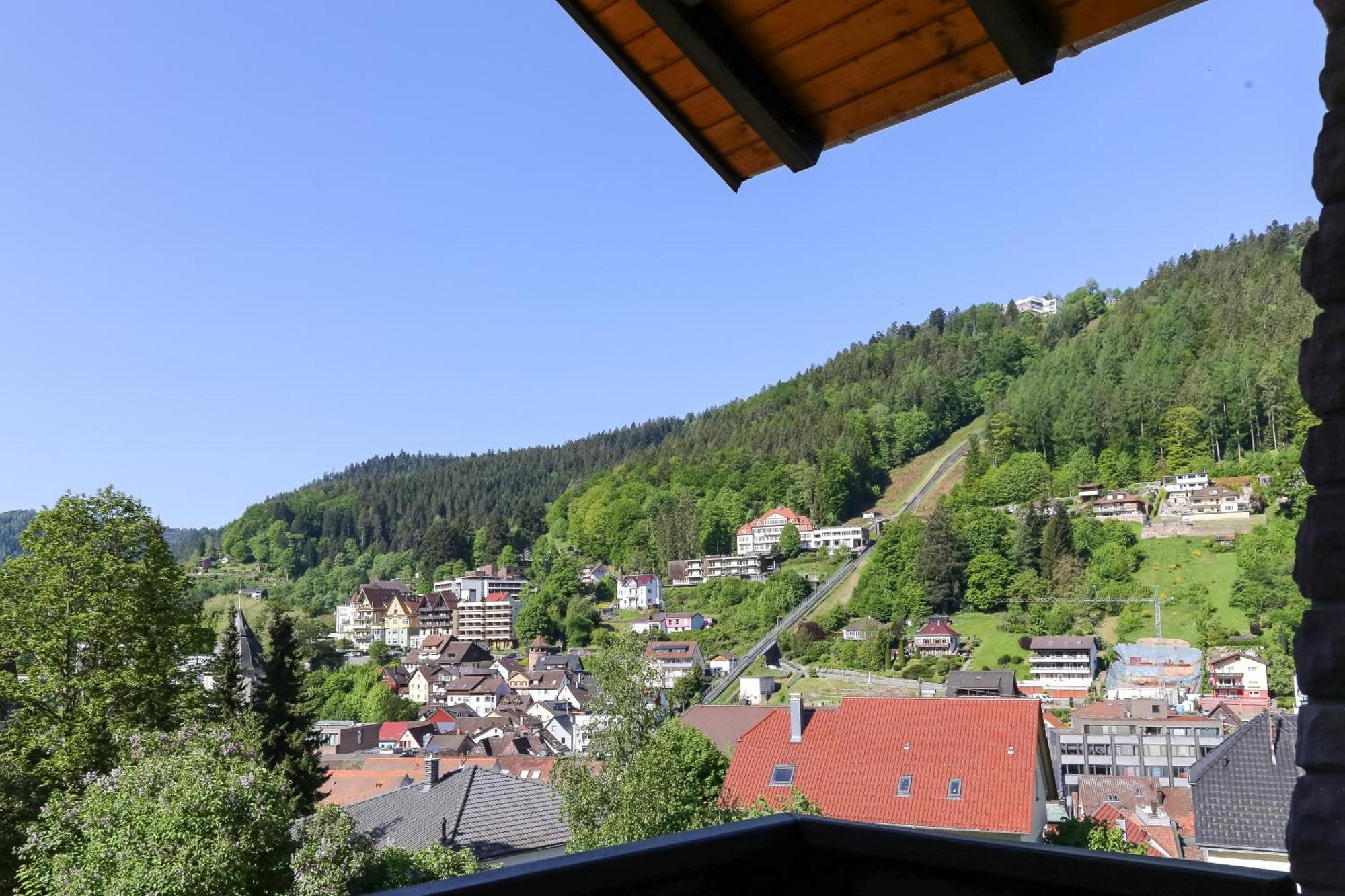 Aparthotel Schwarzwald Panorama Бад-Вільдбад Номер фото